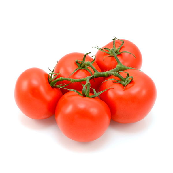 ECO - Tomate en rama